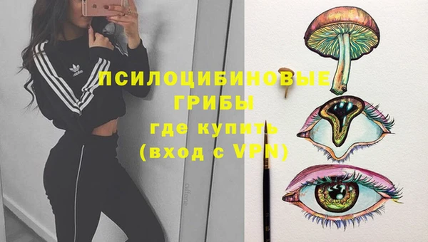 бошки Абаза