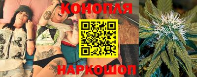 молекула духа Новозыбков