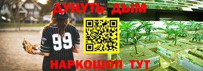 молекула духа Новозыбков