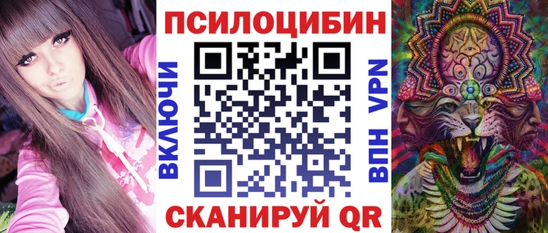 блэк спрут ТОР  Таганрог  Псилоцибиновые грибы Psilocybe 