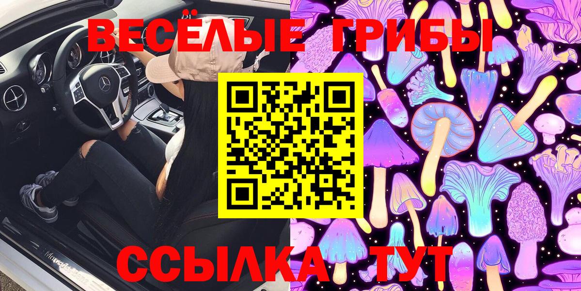 Галлюциногенные грибы Cubensis Таганрог