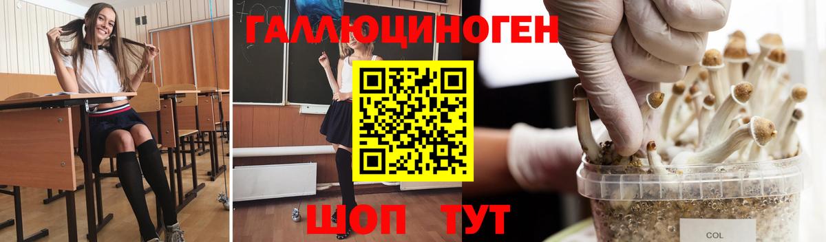 Галлюциногенные грибы ЛСД  наркотики  Таганрог  Псилоцибиновые грибы Cubensis  Вход с VPN 